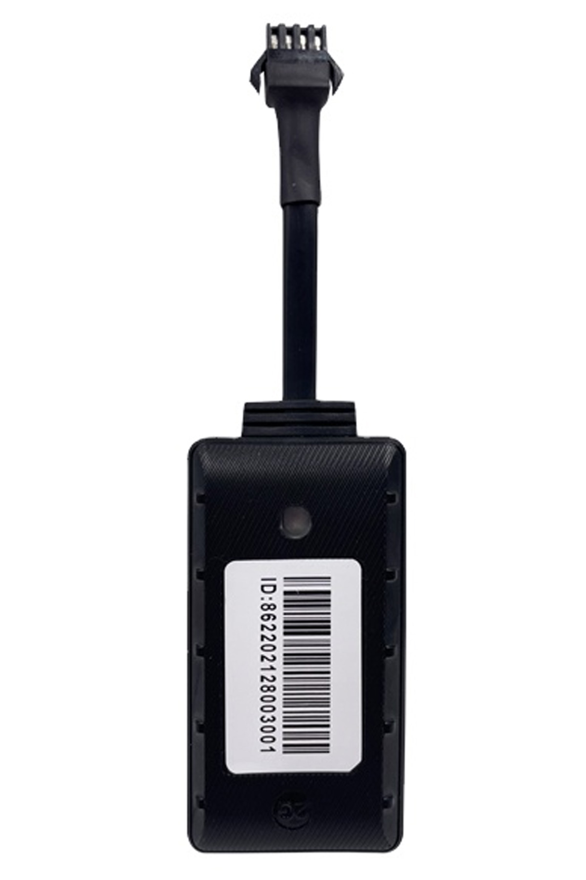 WhatsApp Image 2025-09-19 at 11.39